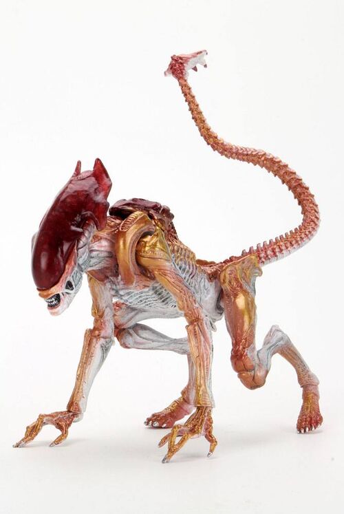 FIGURA PANTHER ALIEN (KENNER TRIBUTE) 23 CM ALIENS