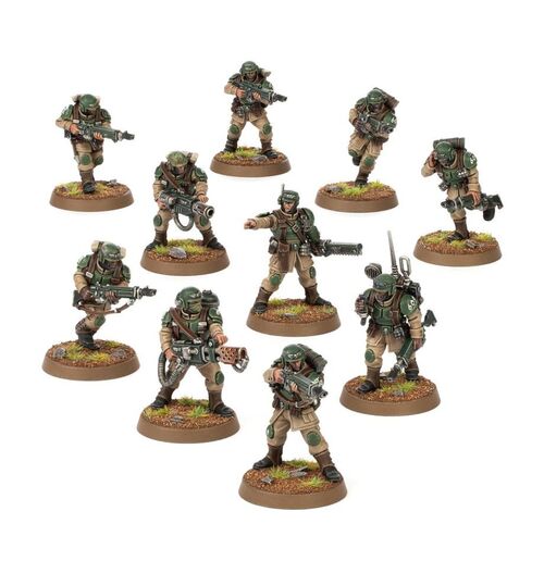 TROPAS DE CHOQUE DE CADIA. ASTRA MILITARUM